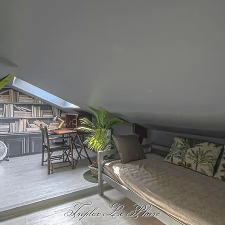 La Venelle Des Greniers A Sel Apartman *