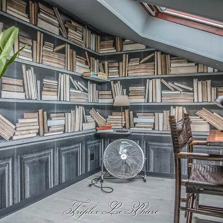 La Venelle Des Greniers A Sel * Онфлёр