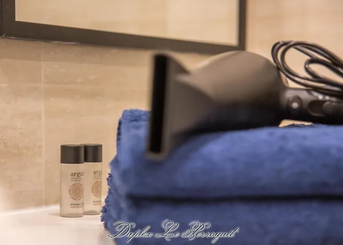 La Venelle Des Greniers A Sel Апартаменты